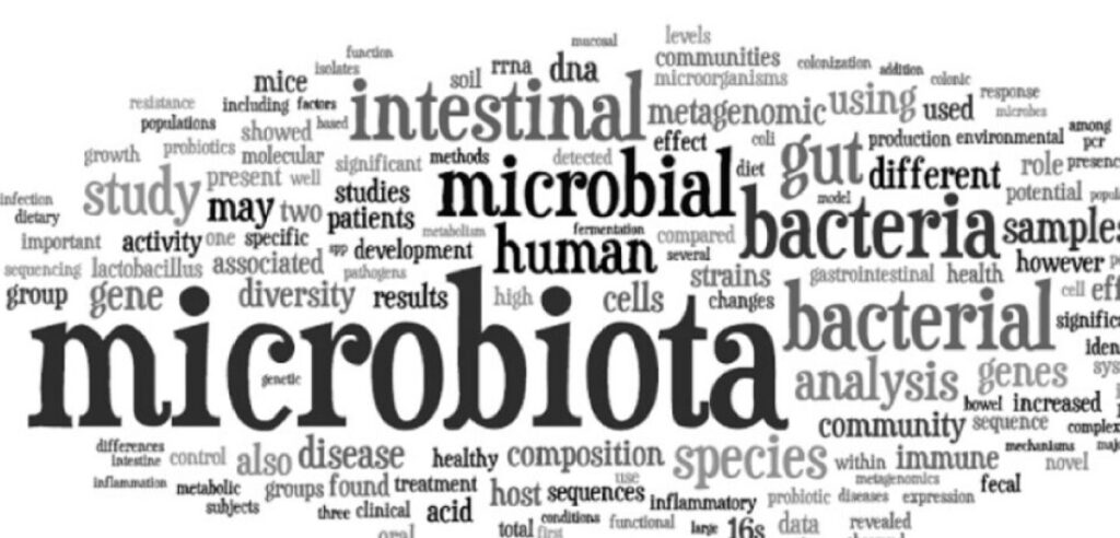 microbiota intestinale