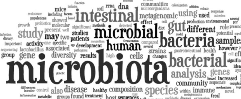 Asse Intestino-Cervello e il microbiota intestinale